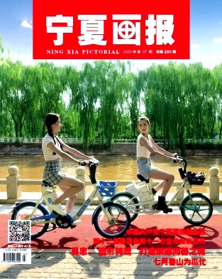 寧夏畫(huà)報(bào)